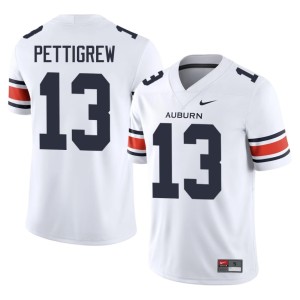 Men's Stitched Auburn Tigers College Football Kory Pettigrew White #13 Jersey 970361-985